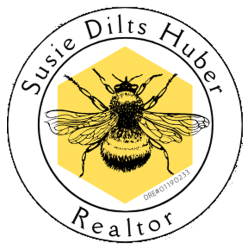 Susie Dilts Huber Realtor